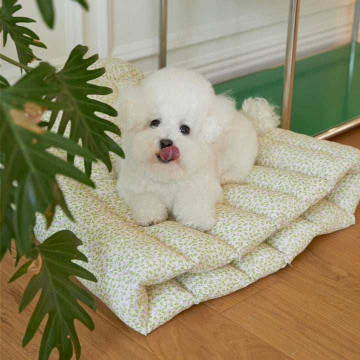 ※予約販売【azalea】Canele Cushion（New Flower Violet）