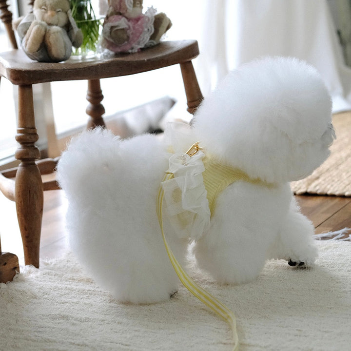 即納【BeBe Breath】Essential Harness（Yellow）Leash Set｜犬用ハーネス