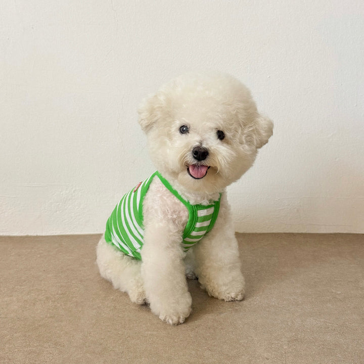 ※予約販売【CRR】Marine Stripe Strap Top（Green）