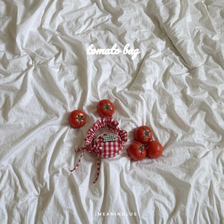※予約販売【meaningless】Tomato Bag