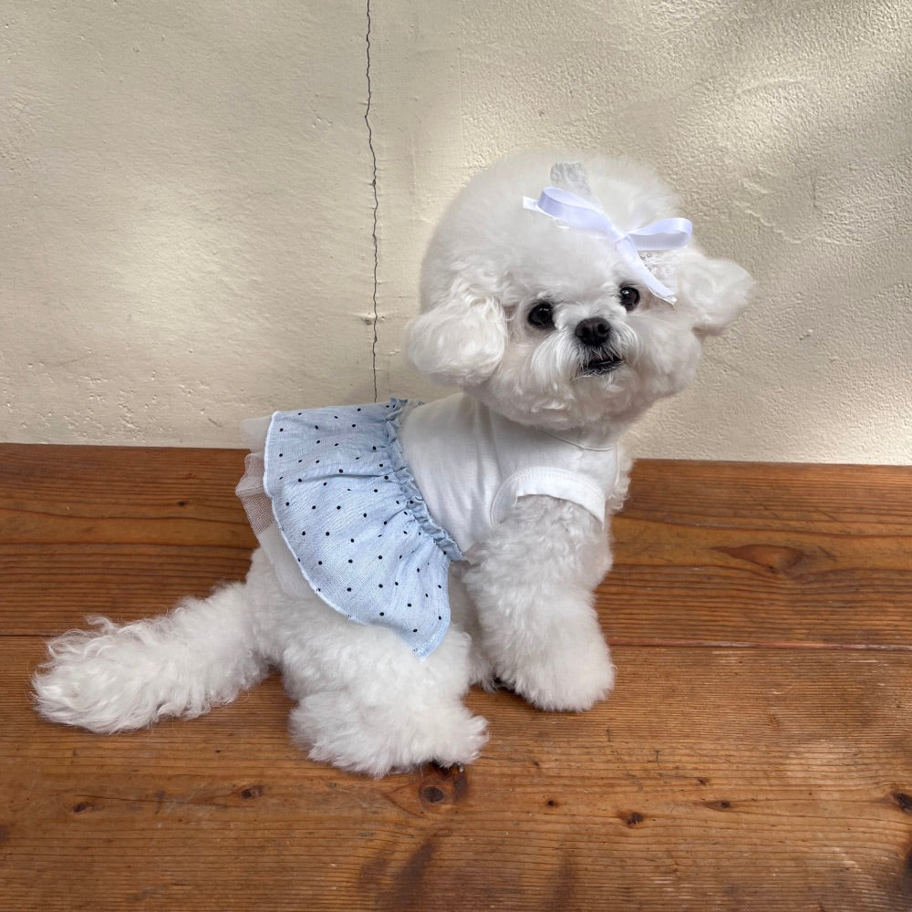 ※予約販売【Hi Yeboo】Dots Tutu（Blue）