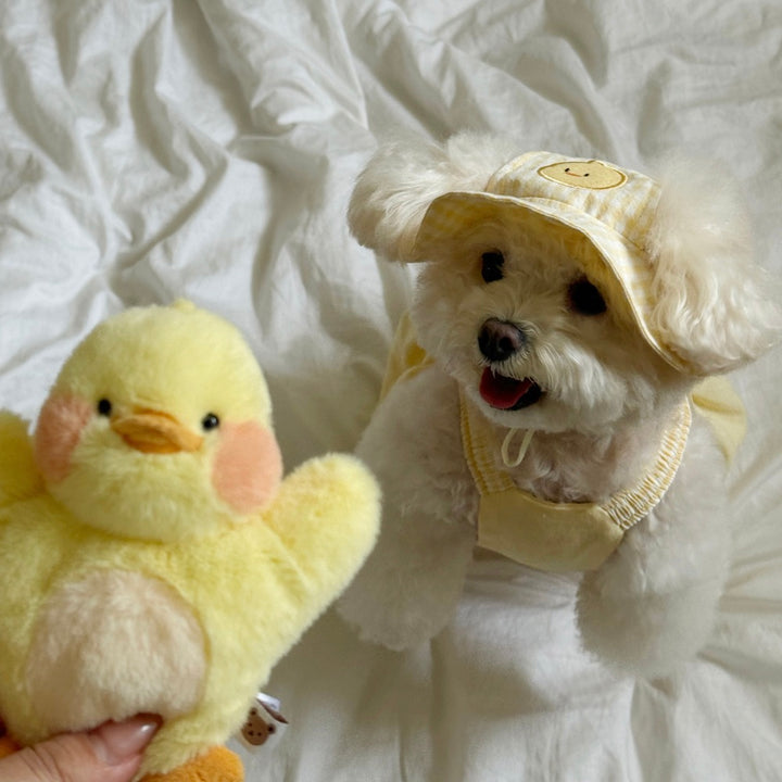 ※予約販売【meaningless】DoDo Plush Toy