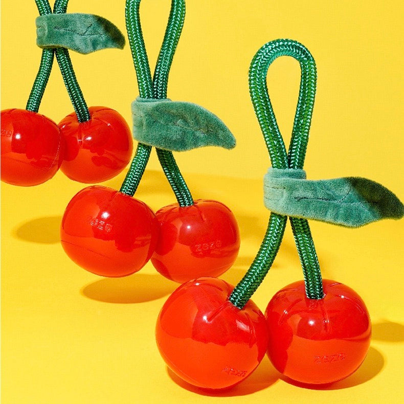 即納【DOGSKETCH】Delicious Fruits Toy
