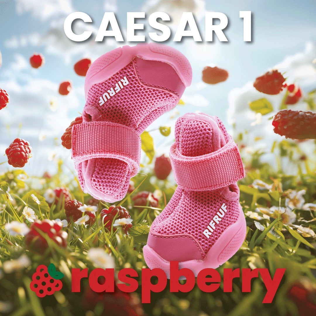 即納【RIFRUF】SNEAKERS CAESAR 1（Raspberry）