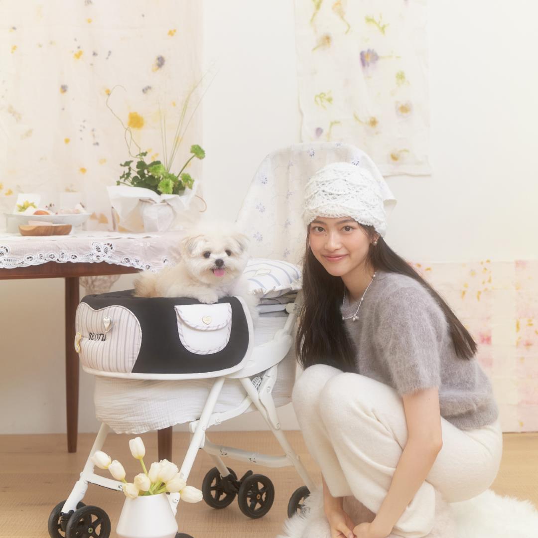 ※予約販売【seoru】house buggy guard(black)