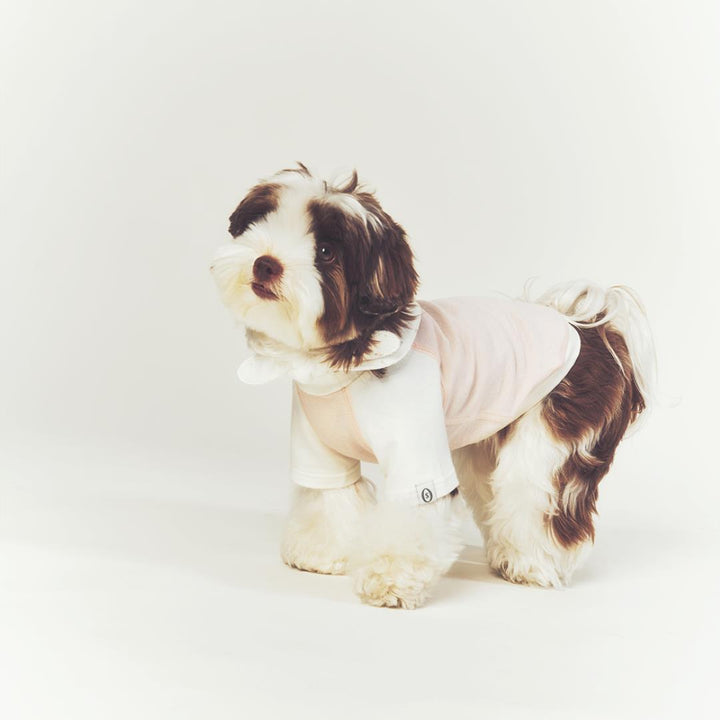 ※予約販売【seoru】Classic Raglan T-shirt(Baby Pink)