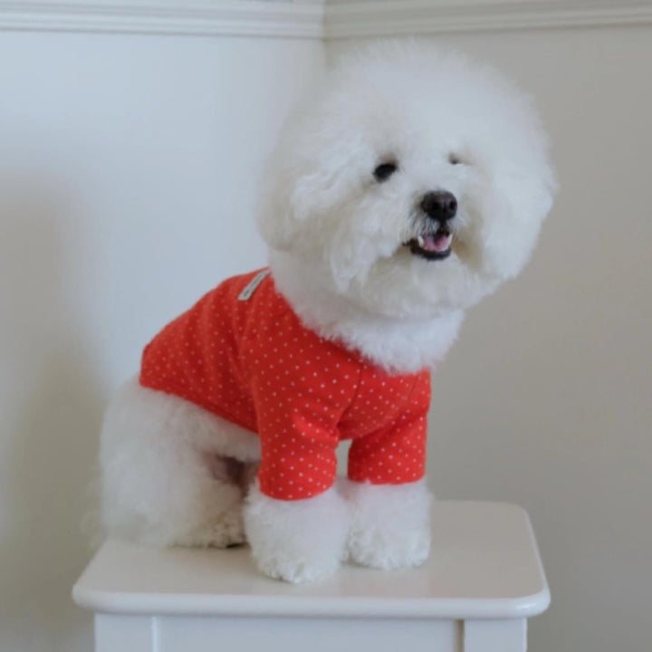 ※予約販売【FREDDIE TALE】Dotter raglan tee(red)