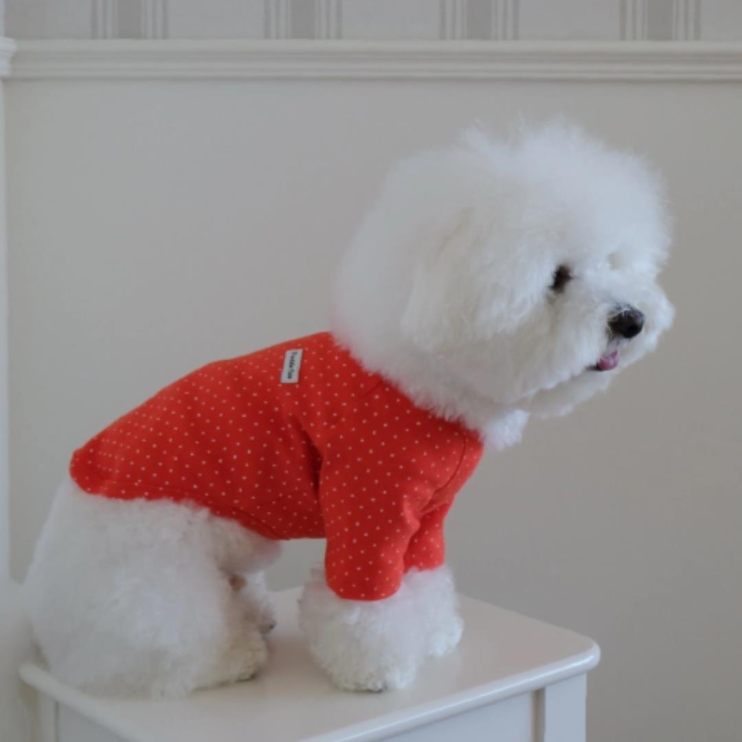 ※予約販売【FREDDIE TALE】Dotter raglan tee(red)