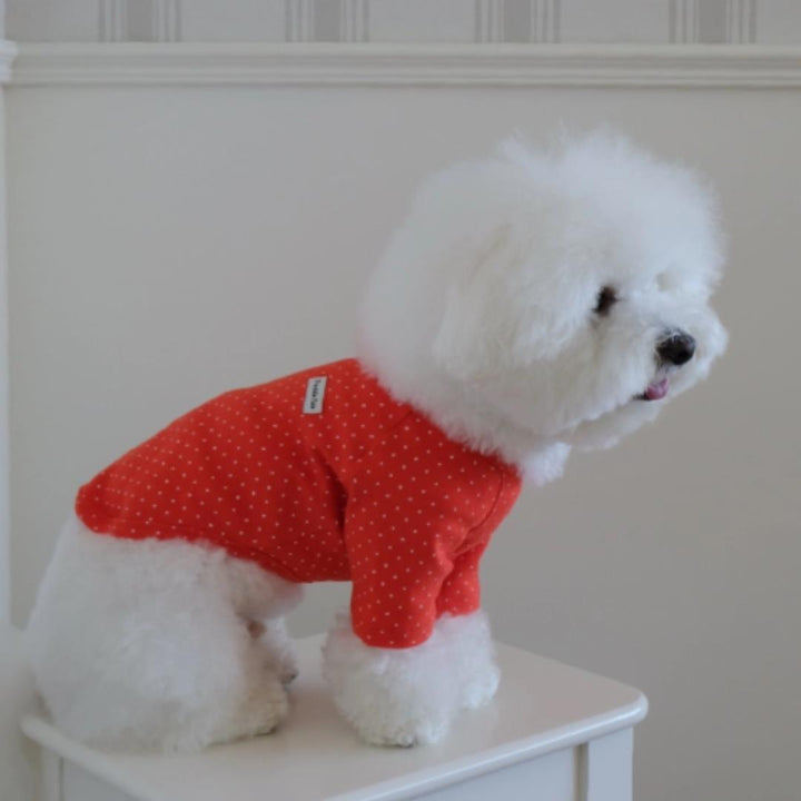 ※予約販売【FREDDIE TALE】Dotter raglan tee(red)