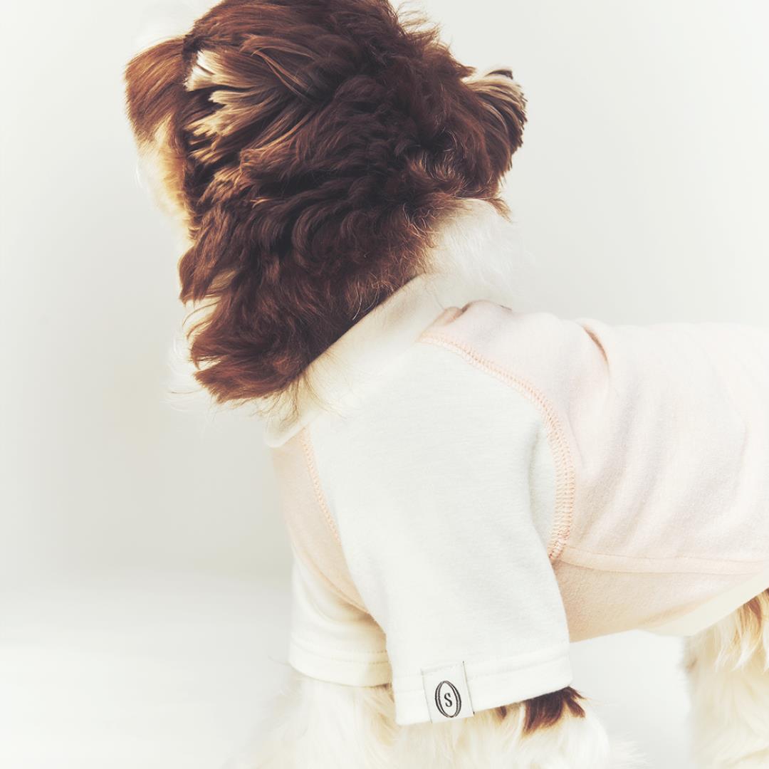 ※予約販売【seoru】Classic Raglan T-shirt(Baby Pink)