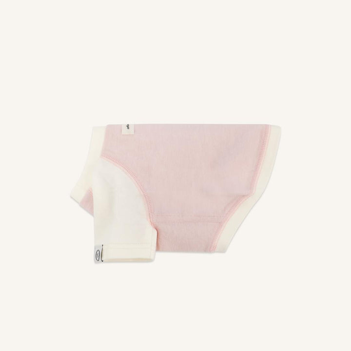 ※予約販売【seoru】Classic Raglan T-shirt(Baby Pink)