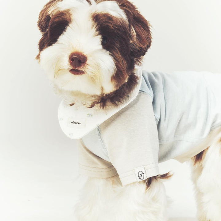 ※予約販売【seoru】Classic Raglan T-shirt(Sky Blue)