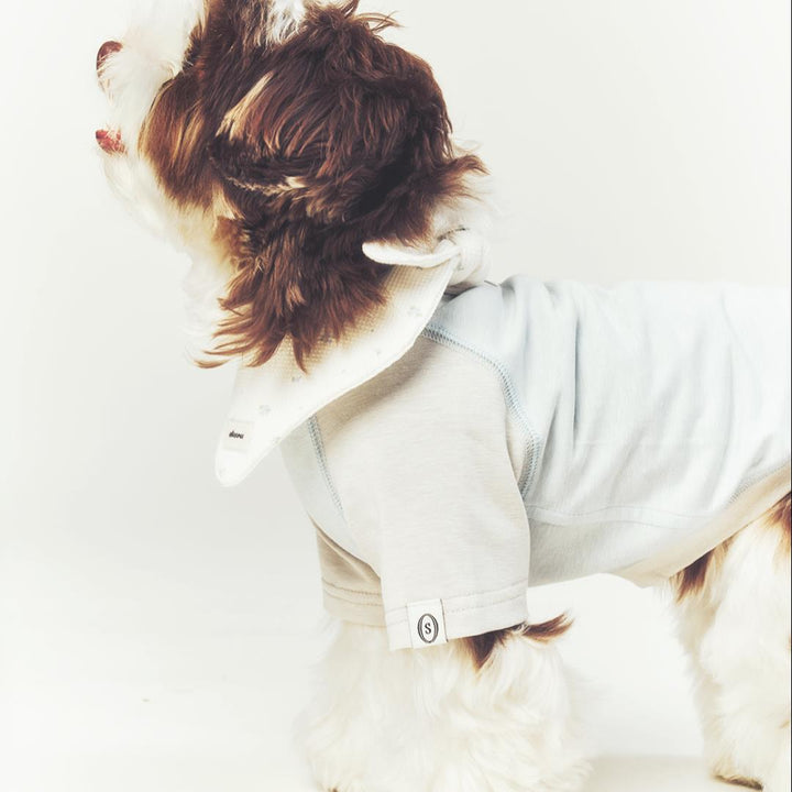※予約販売【seoru】Classic Raglan T-shirt(Sky Blue)