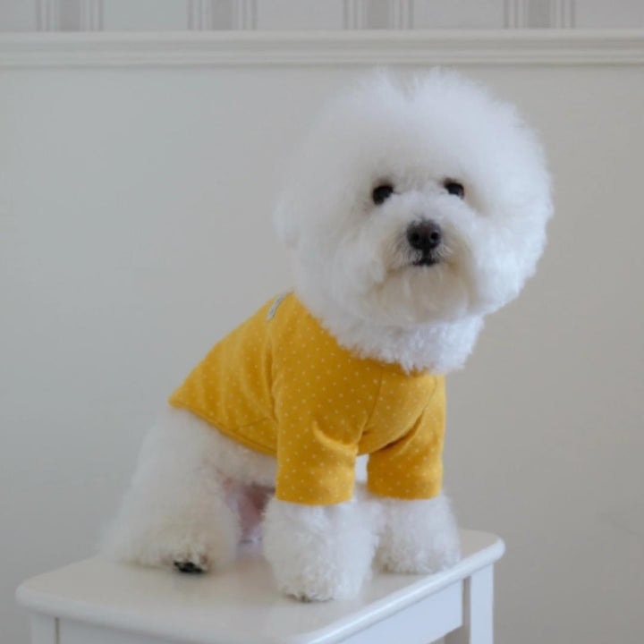 ※予約販売【FREDDIE TALE】Dotter raglan tee(yellow)