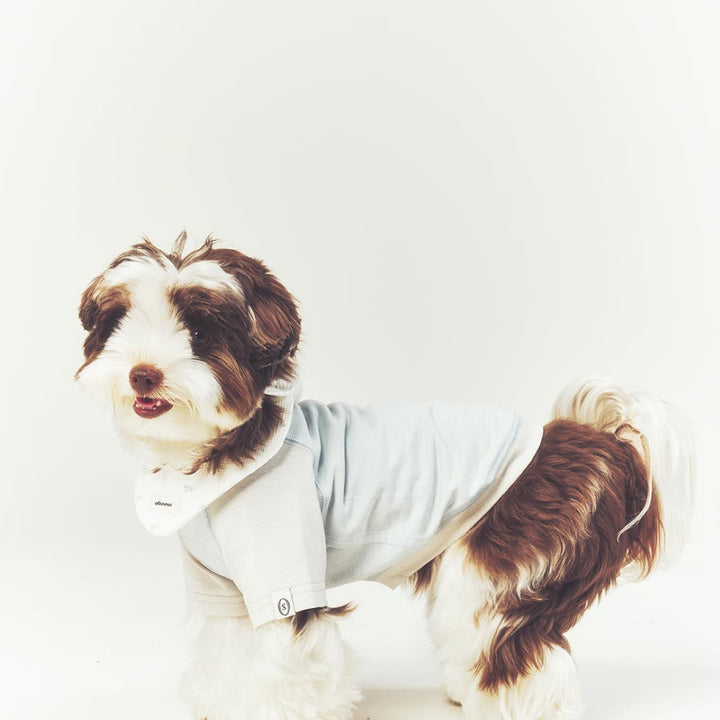 ※予約販売【seoru】Classic Raglan T-shirt(Sky Blue)
