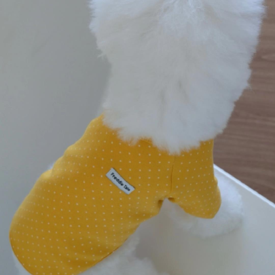 ※予約販売【FREDDIE TALE】Dotter raglan tee(yellow)