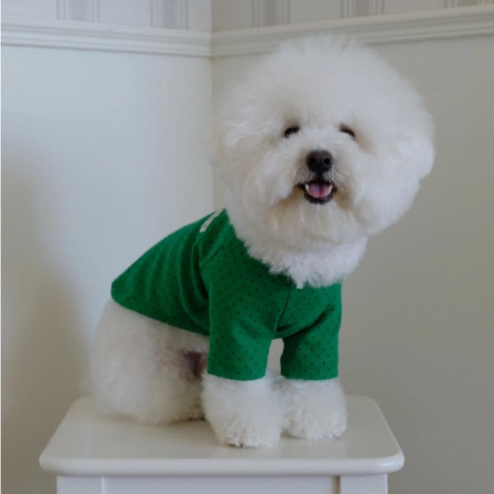 ※予約販売【FREDDIE TALE】Dotter raglan tee(green)