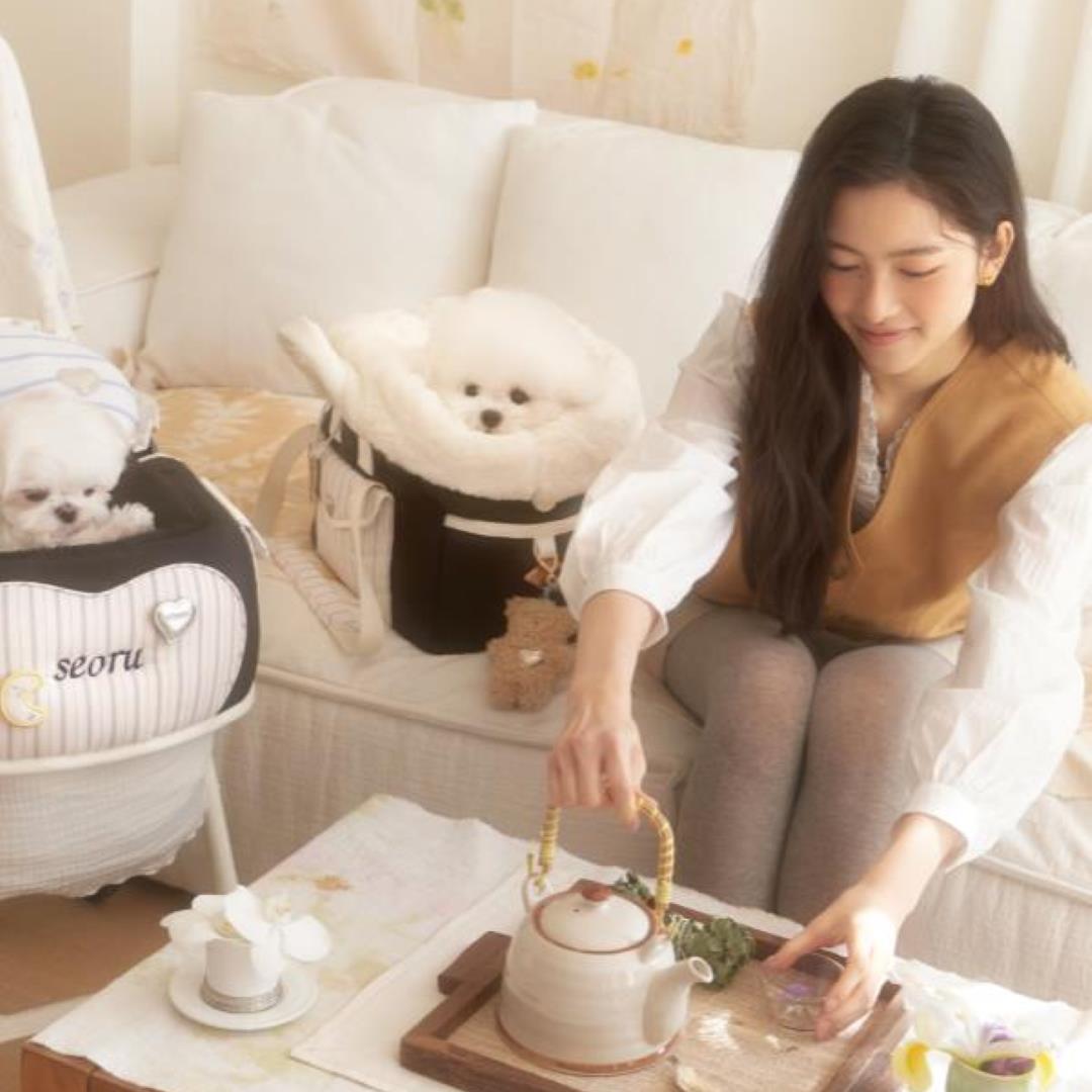 海外犬服 高品質なインポートのドッグウェア通販 