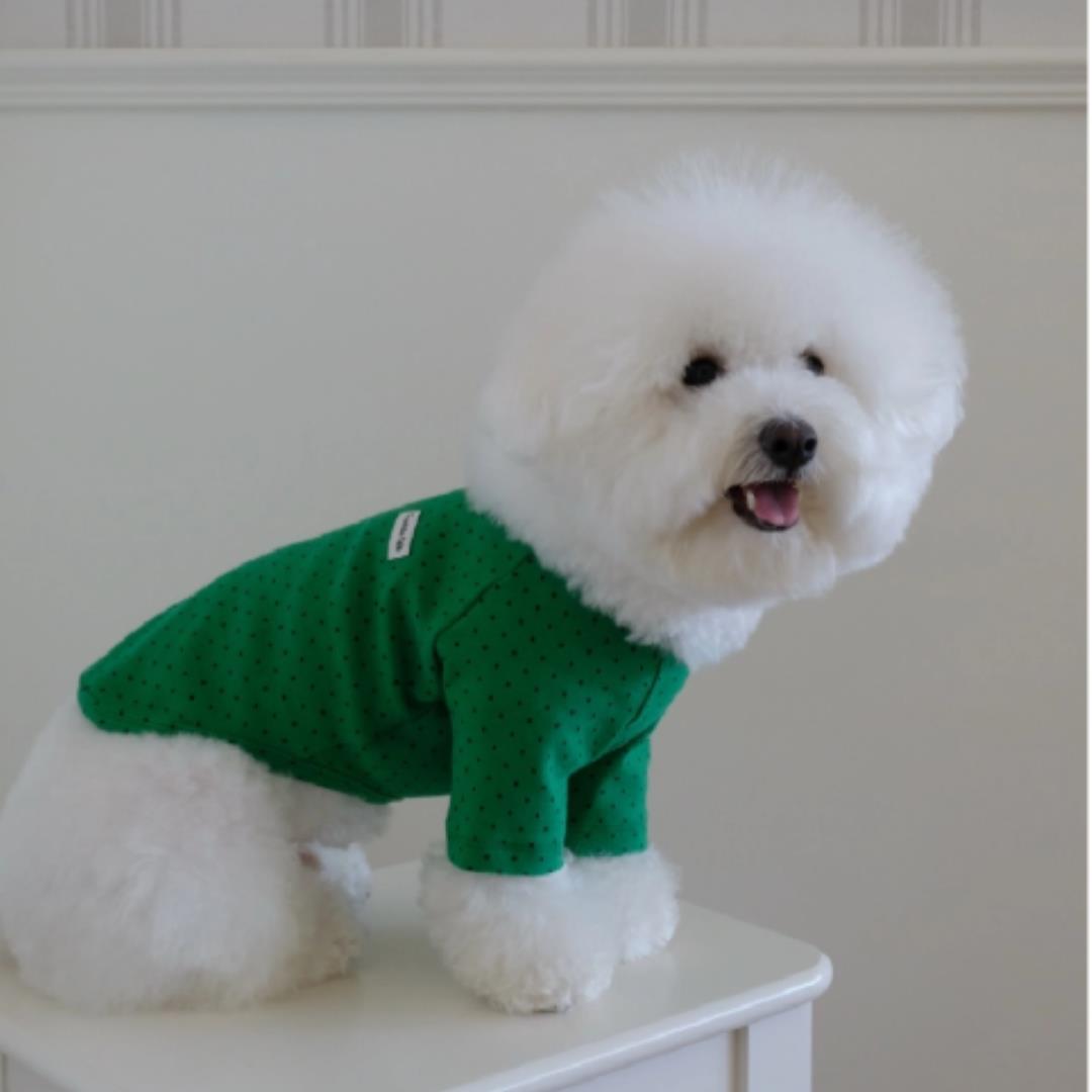 ※予約販売【FREDDIE TALE】Dotter raglan tee(green)