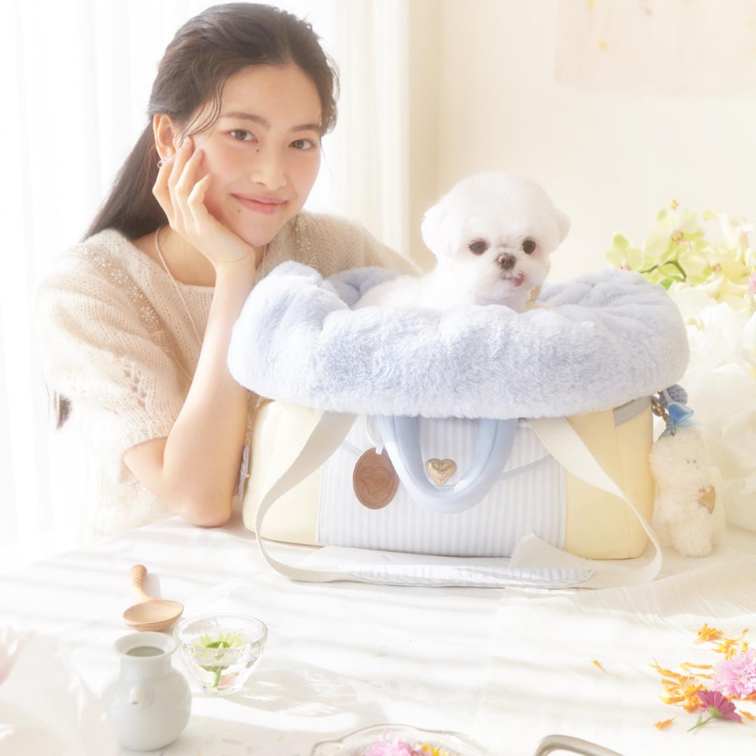 海外犬服 高品質なインポートのドッグウェア通販 