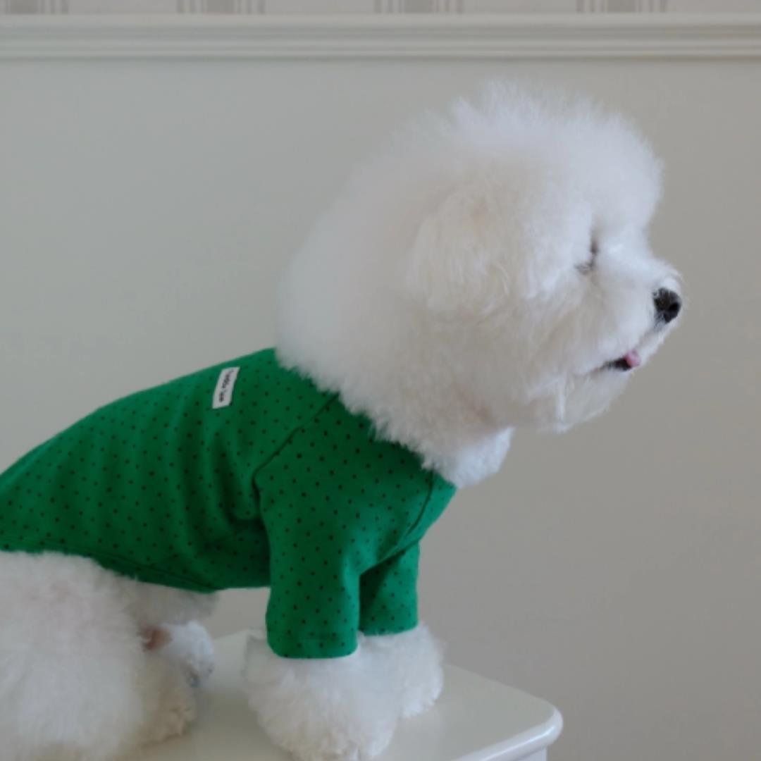 ※予約販売【FREDDIE TALE】Dotter raglan tee(green)