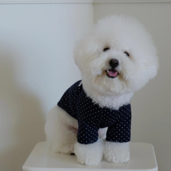 ※予約販売【FREDDIE TALE】Dotter raglan tee(navy)