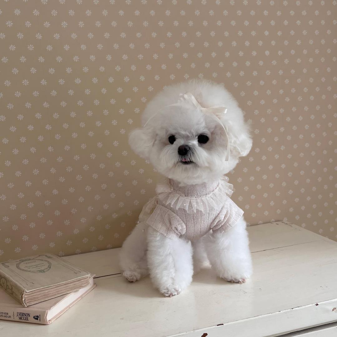 即納【Hi Yeboo】Iris Cape Collar Ops（Ivory）