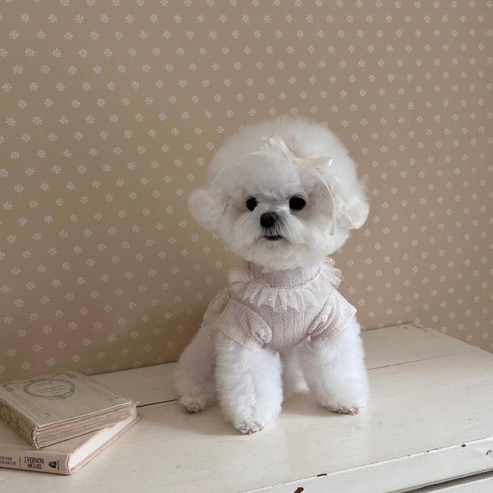 即納【Hi Yeboo】Iris Cape Collar Ops（Ivory）