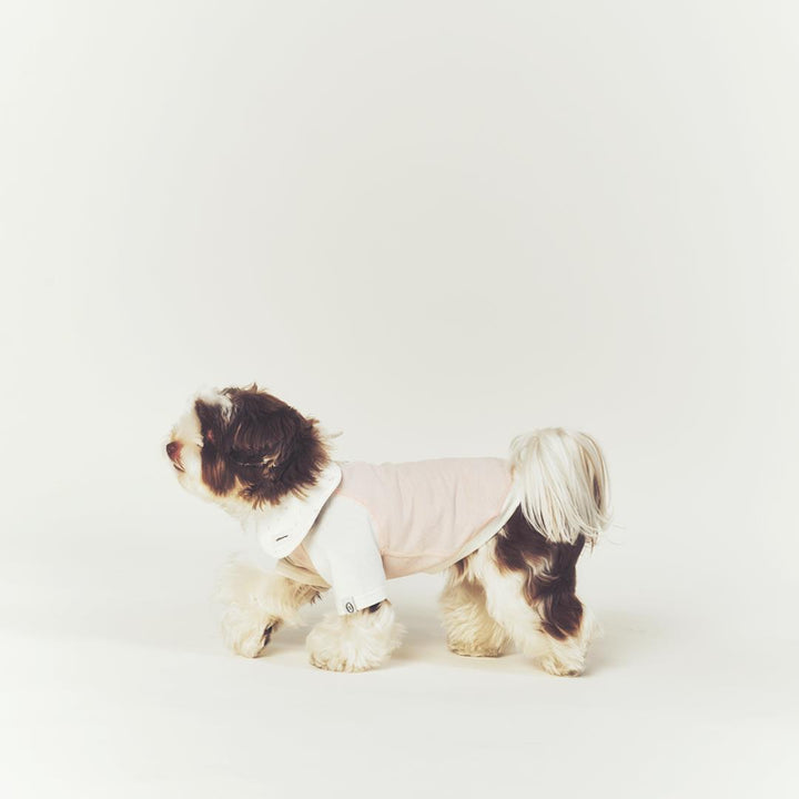 ※予約販売【seoru】Classic Raglan T-shirt(Baby Pink)