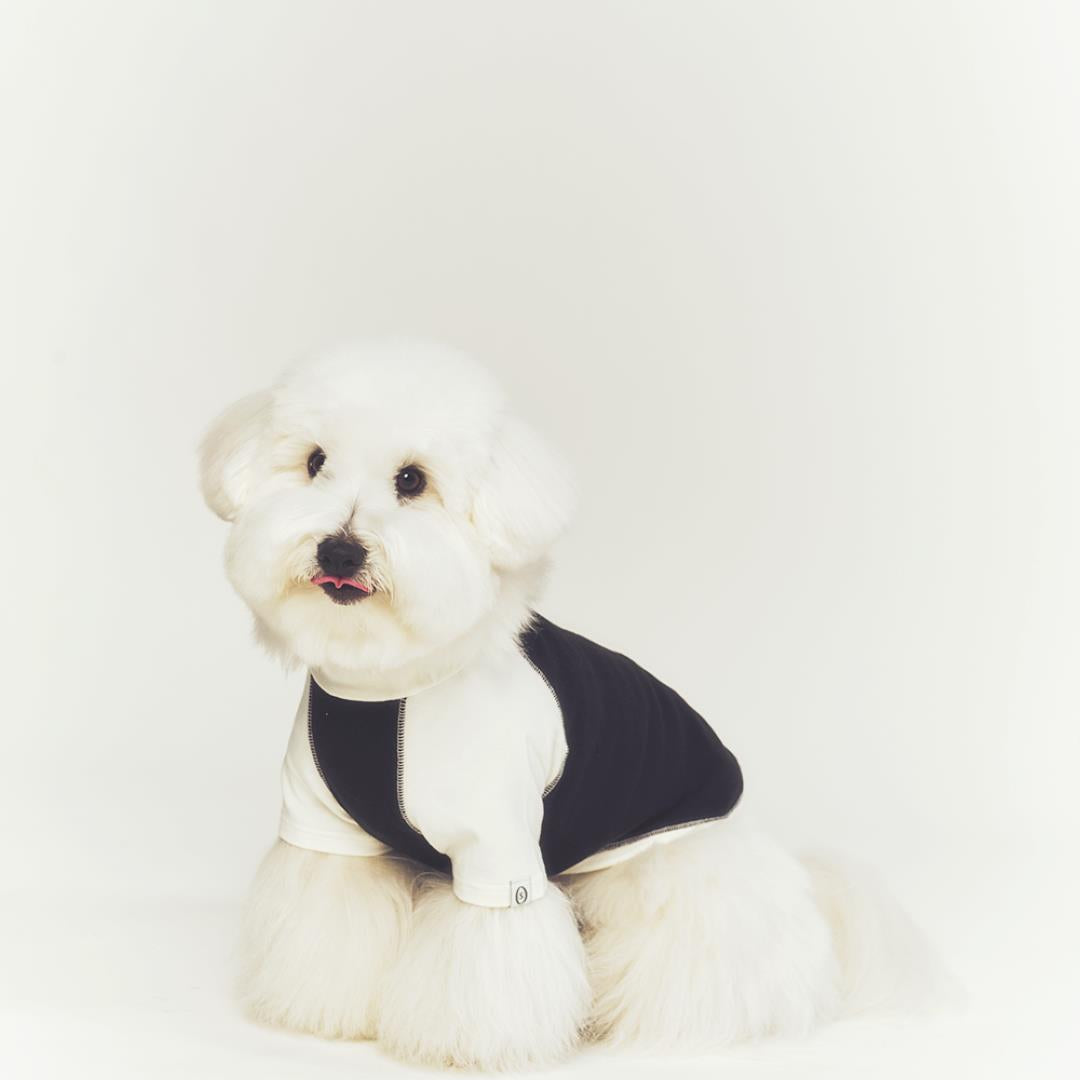 ※予約販売【seoru】Classic Raglan T-shirt(Black)