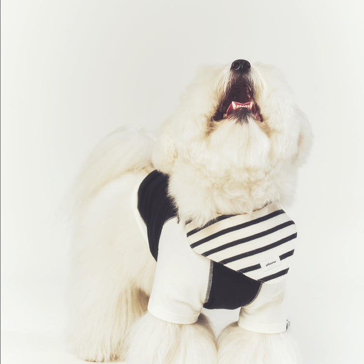 ※予約販売【seoru】Classic stripe Cape