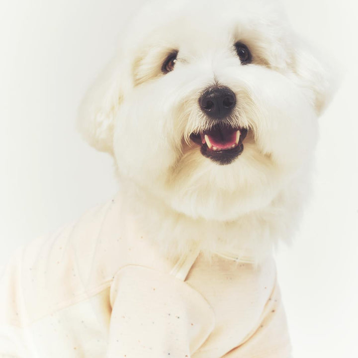 ※予約販売【seoru】Oat nep T-shirt(Milk Pink)