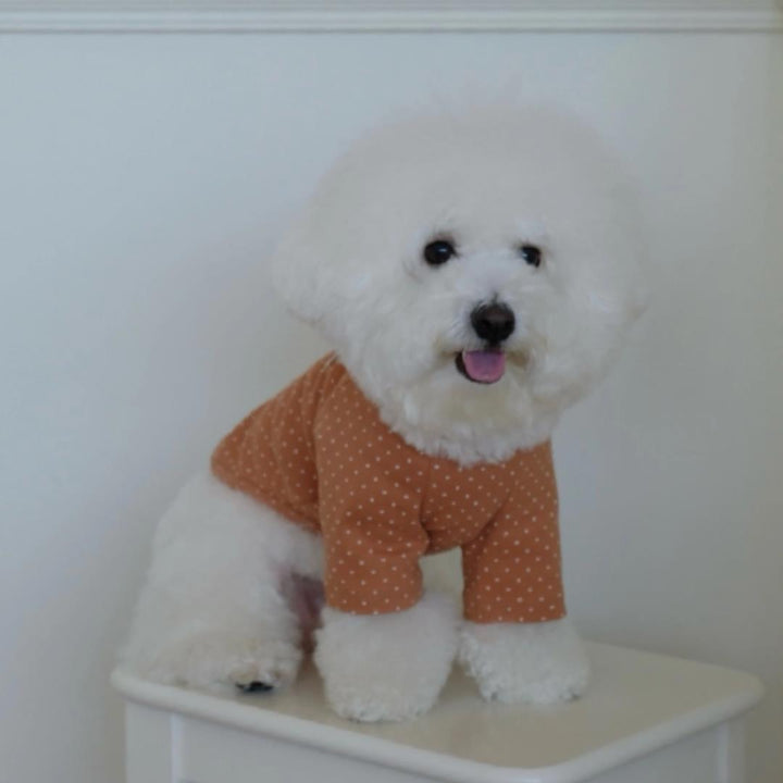 ※予約販売【FREDDIE TALE】Dotter raglan tee(brown)