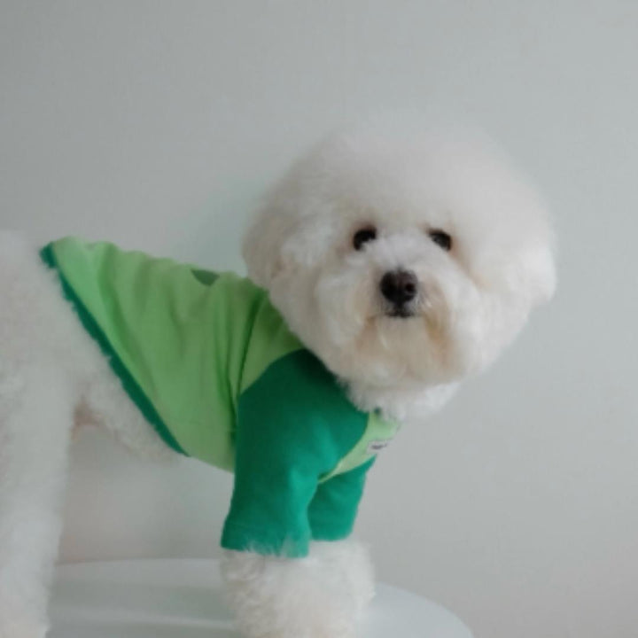 即納【FREDDIE TALE】F logo raglan tee（Green）