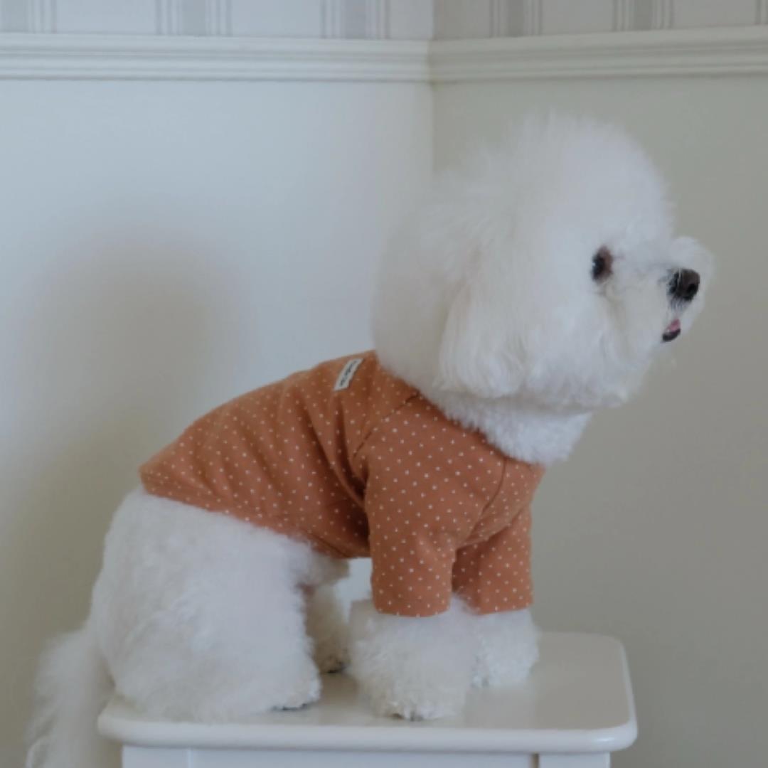 ※予約販売【FREDDIE TALE】Dotter raglan tee(brown)