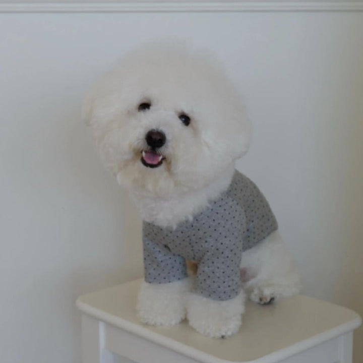 ※予約販売【FREDDIE TALE】Dotter raglan tee(gray)