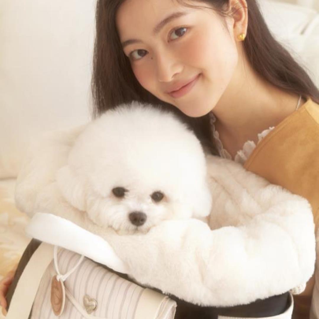 海外犬服 高品質なインポートのドッグウェア通販 