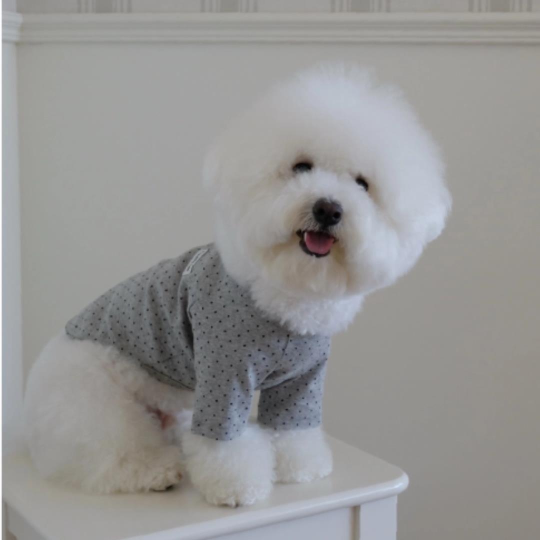 ※予約販売【FREDDIE TALE】Dotter raglan tee(gray)