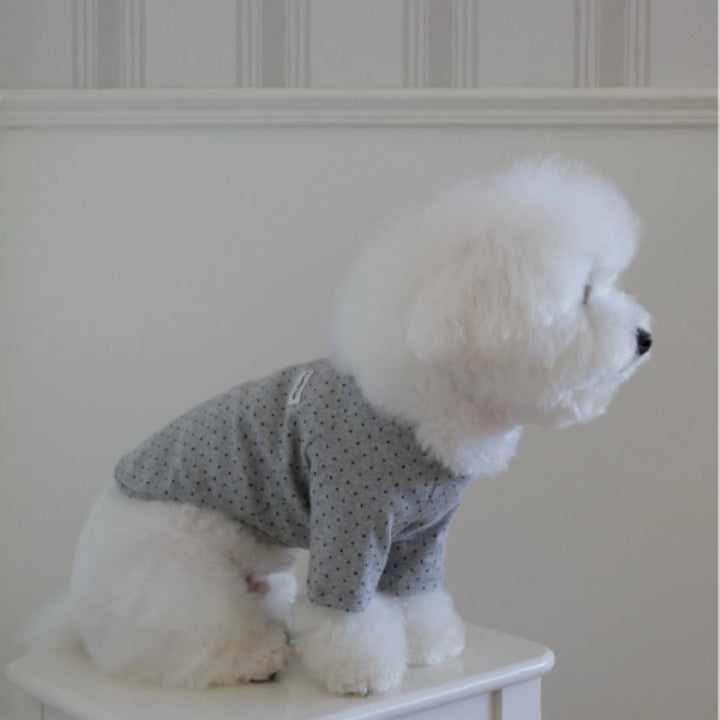 ※予約販売【FREDDIE TALE】Dotter raglan tee(gray)