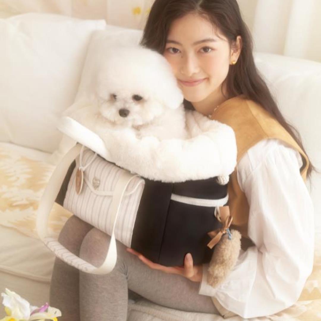 海外犬服 高品質なインポートのドッグウェア通販 