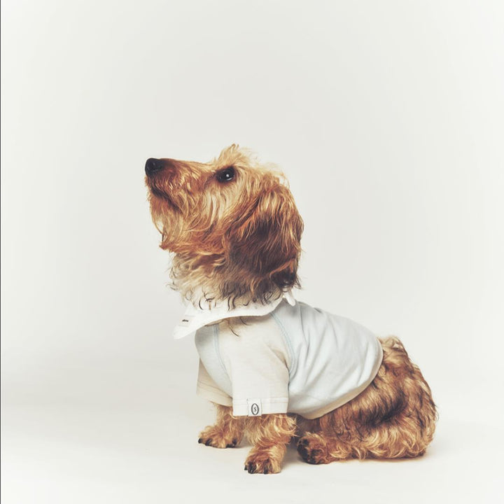 ※予約販売【seoru】Classic Raglan T-shirt(Sky Blue)