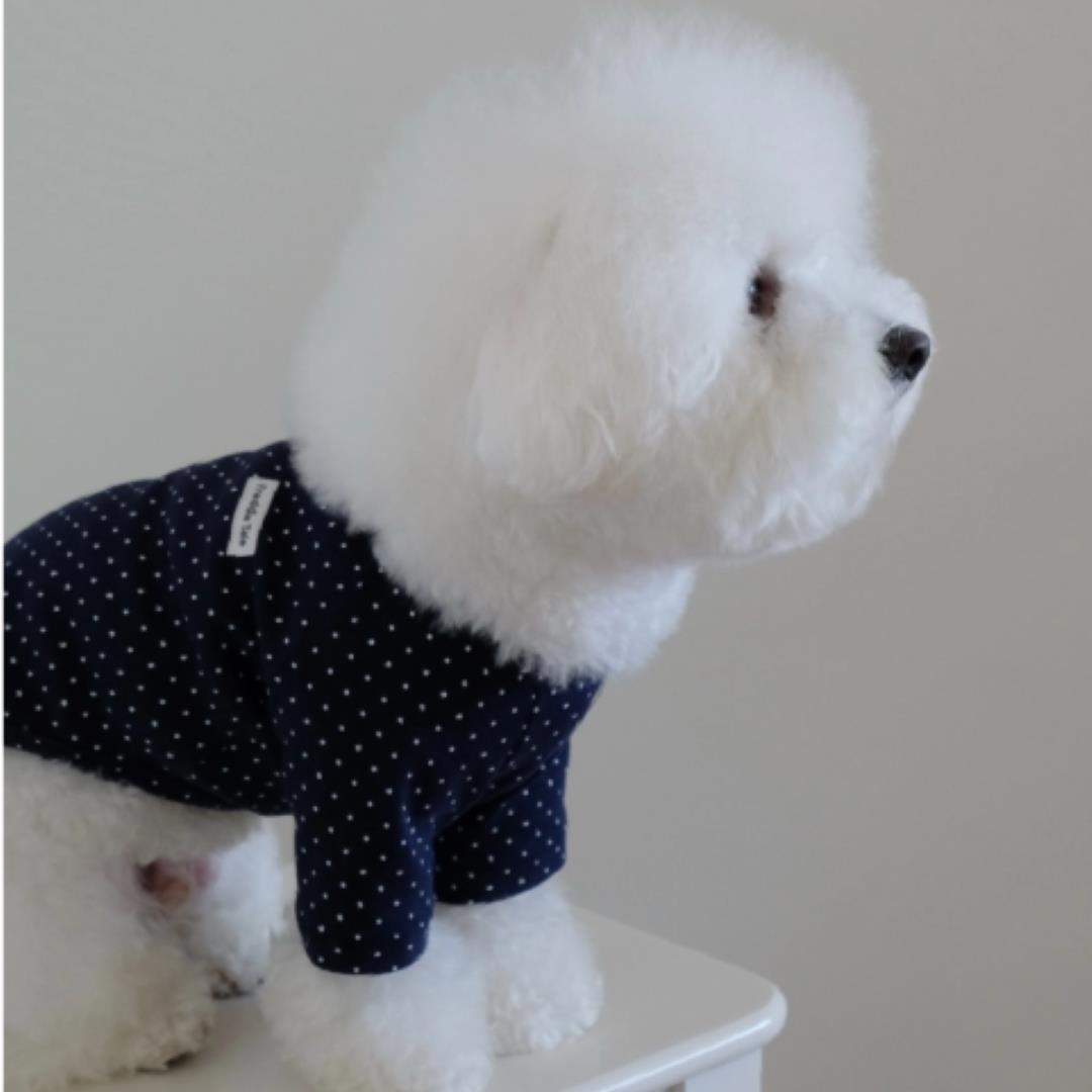 ※予約販売【FREDDIE TALE】Dotter raglan tee(navy)