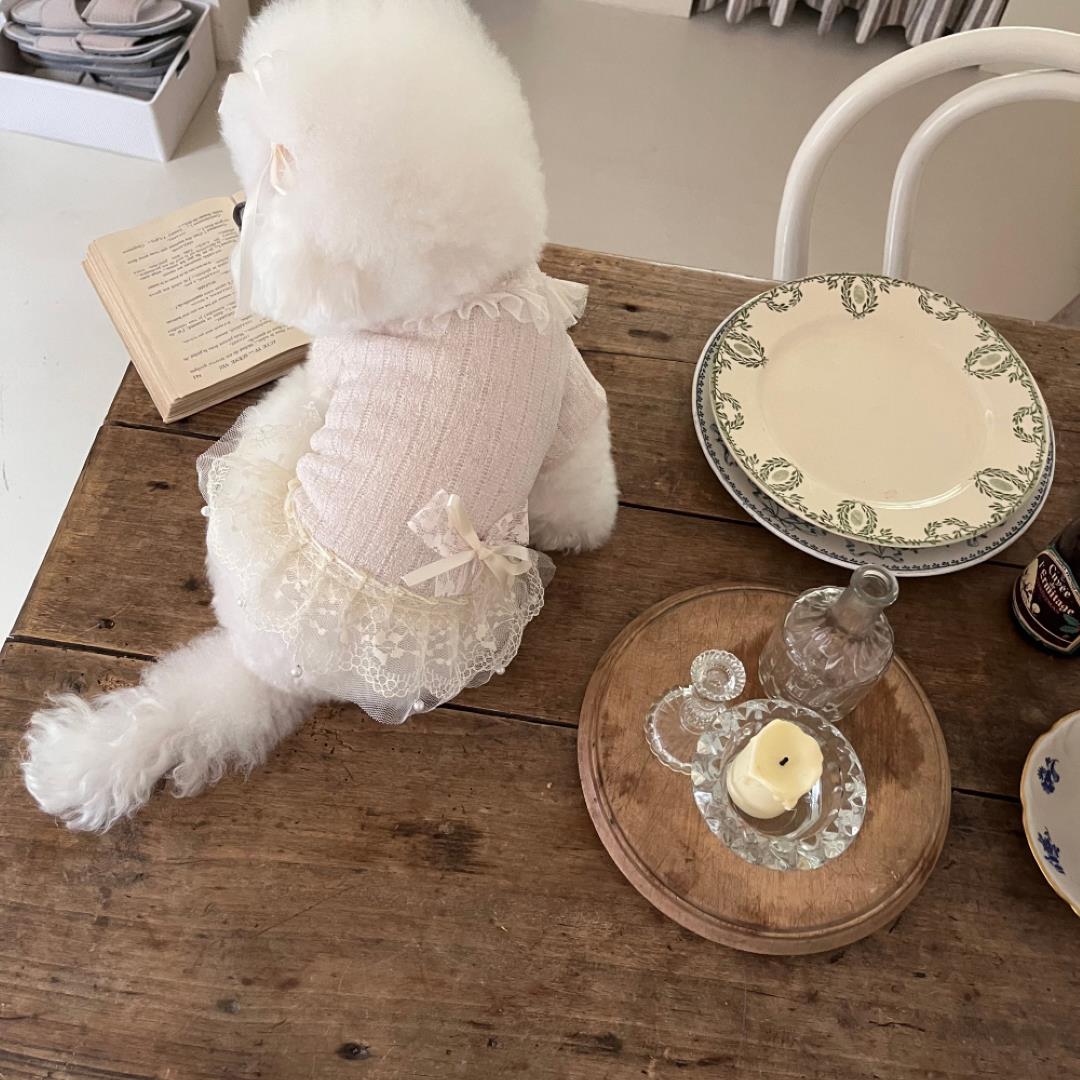 即納【Hi Yeboo】Iris Cape Collar Ops（Ivory）