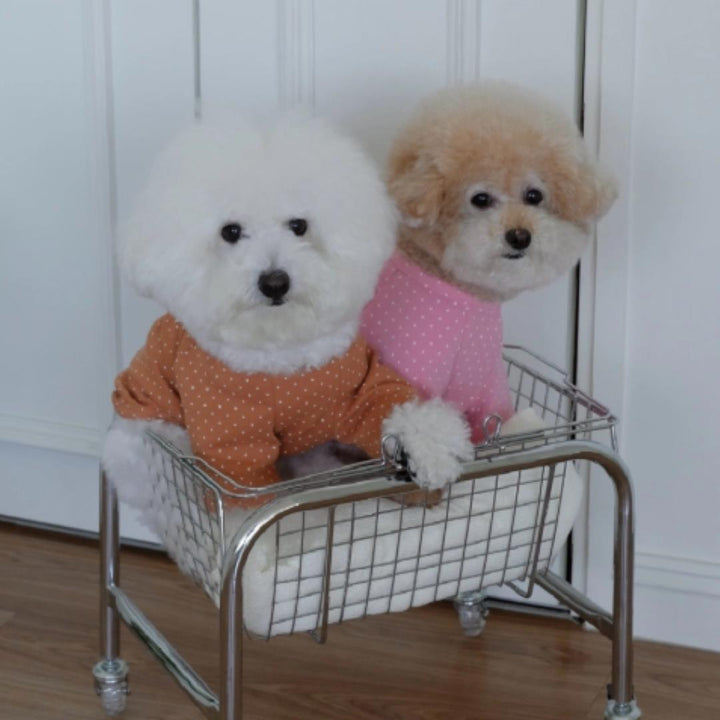 ※予約販売【FREDDIE TALE】Dotter raglan tee(brown)