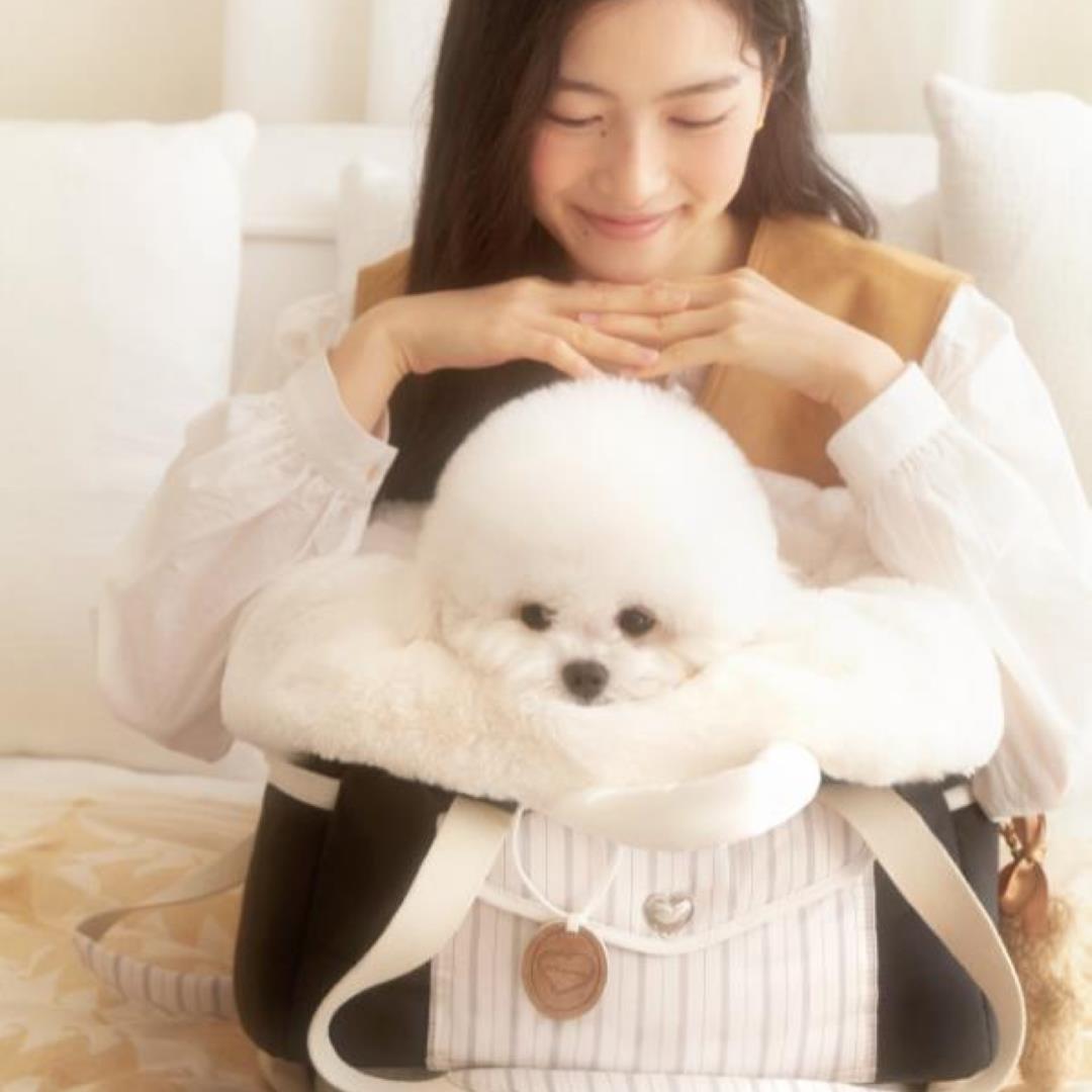 海外犬服 高品質なインポートのドッグウェア通販 