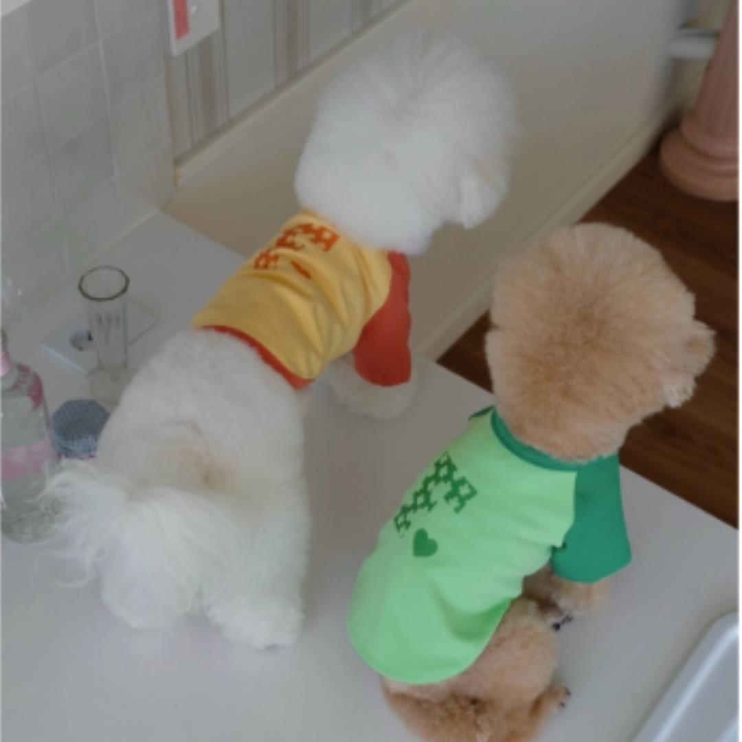 即納【FREDDIE TALE】F logo raglan tee（Orange）