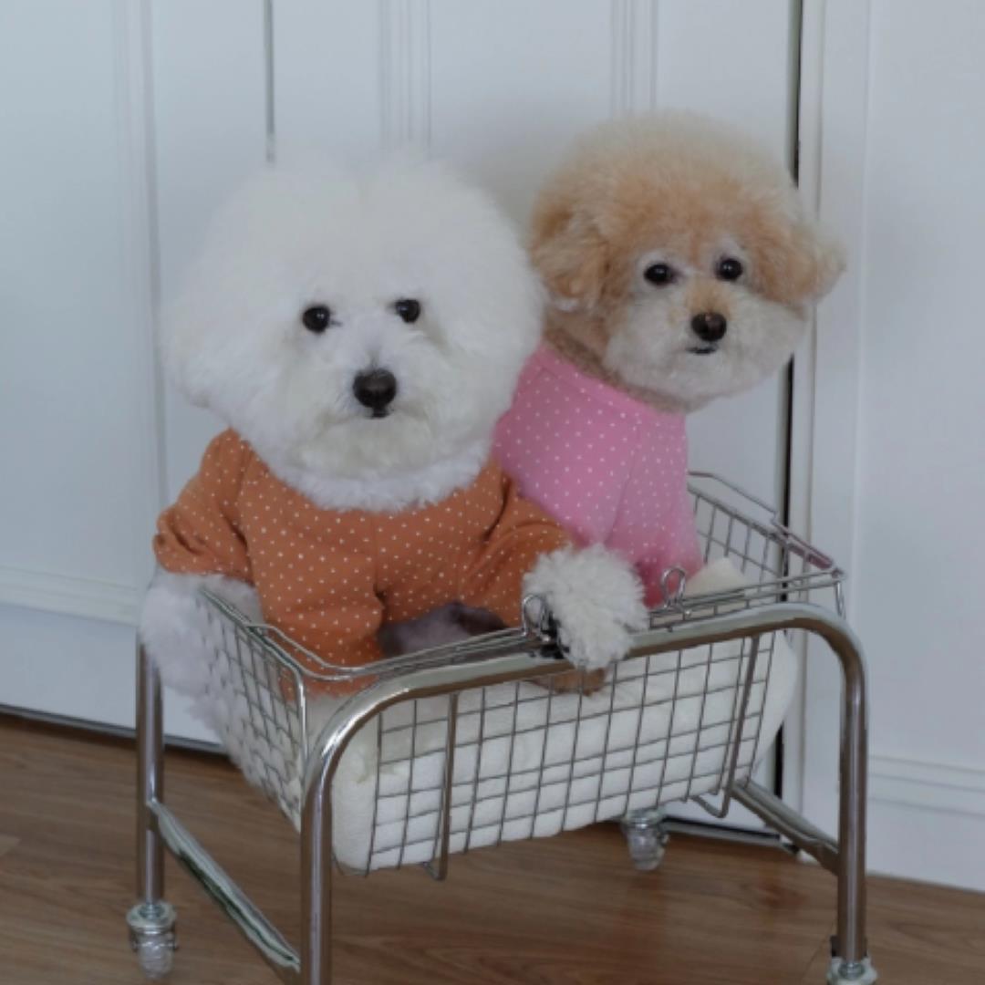 ※予約販売【FREDDIE TALE】Dotter raglan tee(pink)