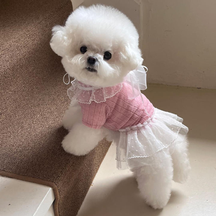 ※予約販売【Hi Yeboo】Iris Cape Collar Ops (Pink)