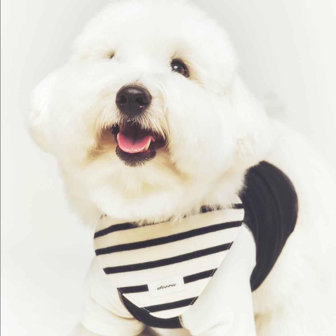 ※予約販売【seoru】Classic stripe Cape