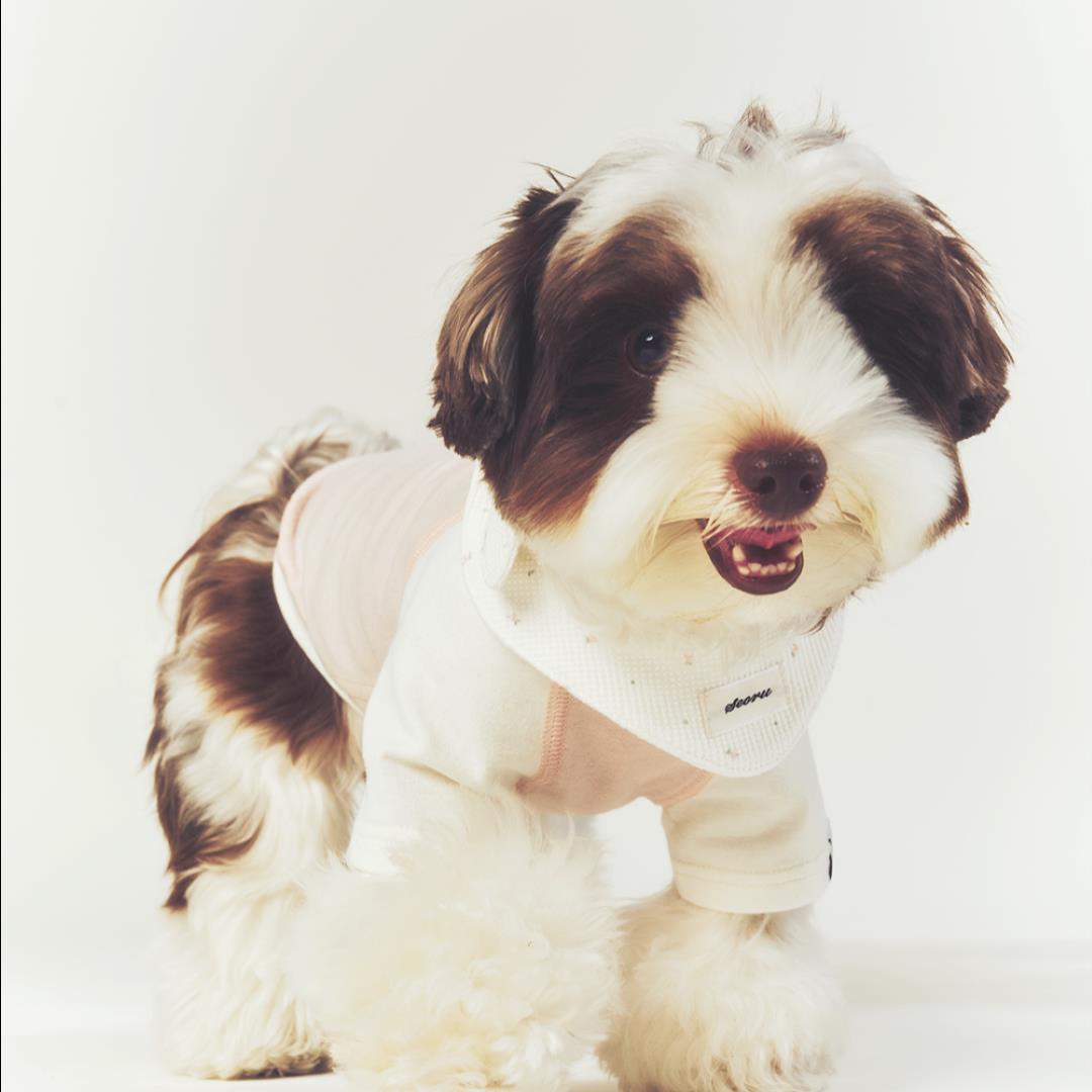 ※予約販売【seoru】Classic Raglan T-shirt(Baby Pink)